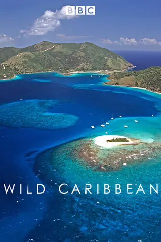 Wild Caribbean afişi