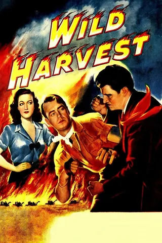 Görsel: TMDB Wild Harvest afişi