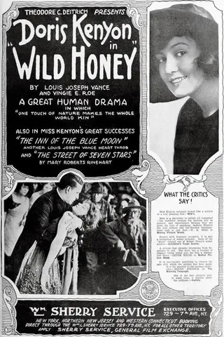 Görsel: TMDB Wild Honey afişi