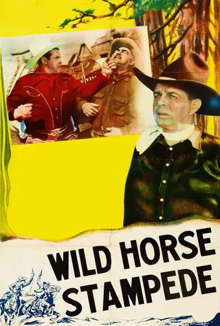 Görsel: TMDB Wild Horse Stampede afişi