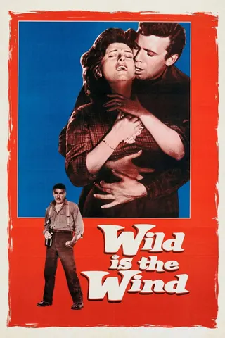 Görsel: TMDB Wild Is the Wind afişi