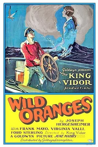 Görsel: TMDB Wild Oranges afişi