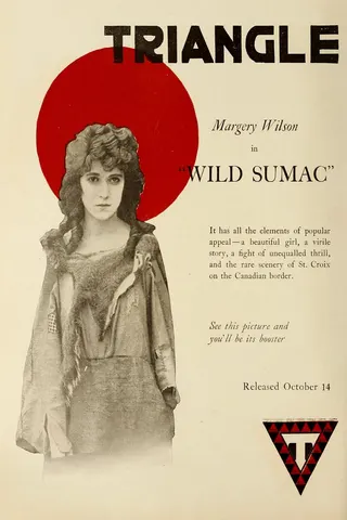 Wild Sumac afişi