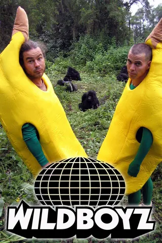Wildboyz afişi