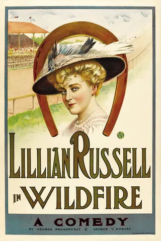 Wildfire afişi