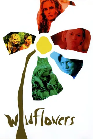 Görsel: TMDB Wildflowers afişi