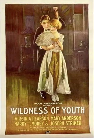 Görsel: TMDB Wildness of Youth afişi