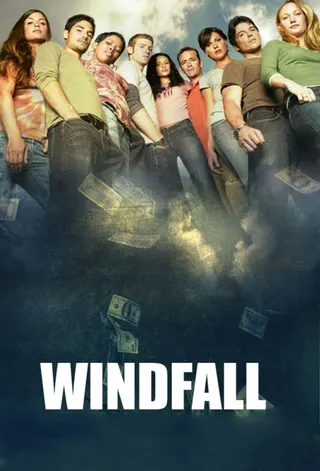 Windfall afişi