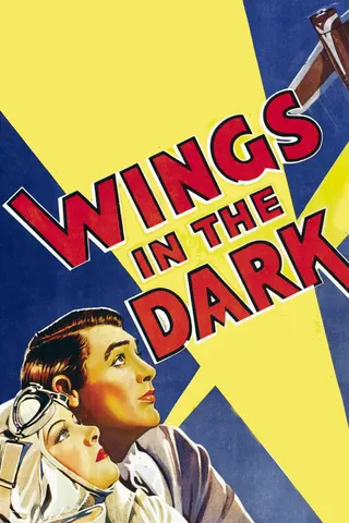 Wings in the Dark afişi