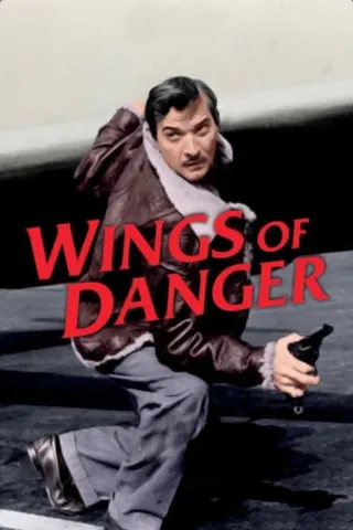 Görsel: TMDB Wings of Danger afişi