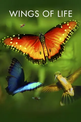 Görsel: TMDB Wings of Life afişi