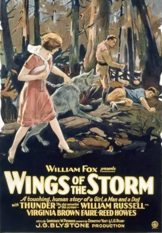 Wings of the Storm afişi