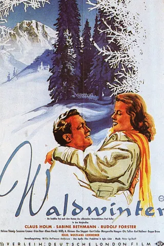 Görsel: TMDB Winter in the Woods afişi