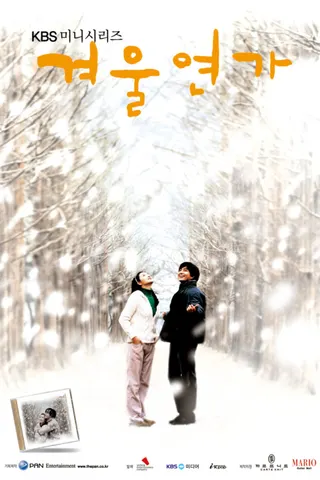 Görsel: TMDB Winter Sonata afişi
