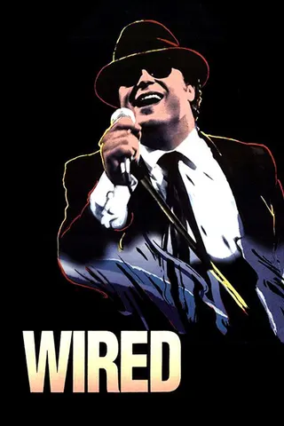 Görsel: TMDB Wired afişi
