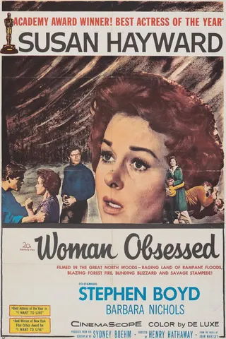 Görsel: TMDB Woman Obsessed afişi