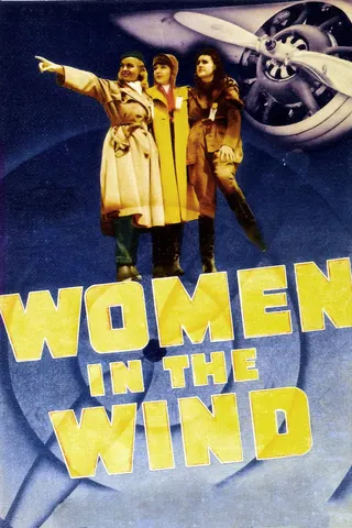 Women in the Wind afişi
