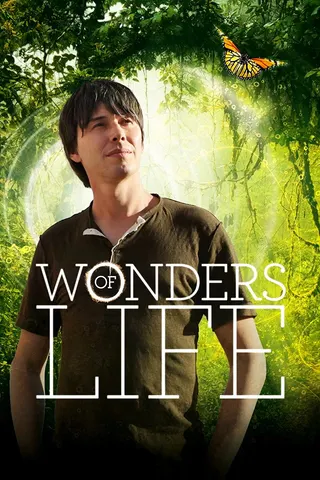 Görsel: TMDB Wonders of Life afişi