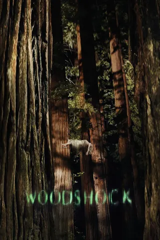 Görsel: TMDB Woodshock afişi
