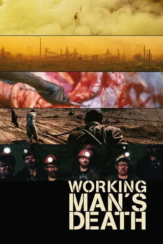 Workingman's Death afişi
