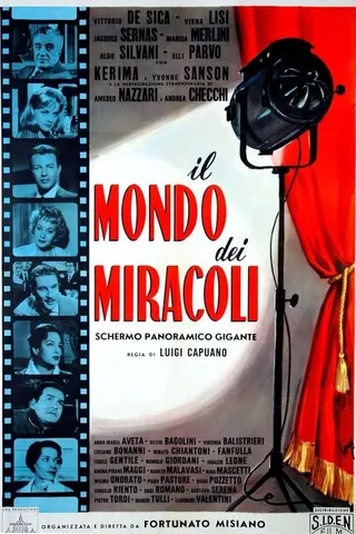 Görsel: TMDB World of Miracles afişi