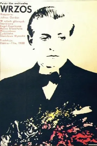 Wrzos afişi