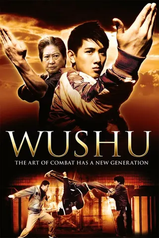 Görsel: TMDB Wushu afişi