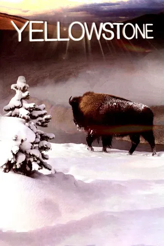 Görsel: TMDB Yellowstone afişi