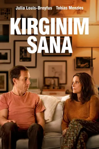 Görsel: TMDB You Hurt My Feelings afişi