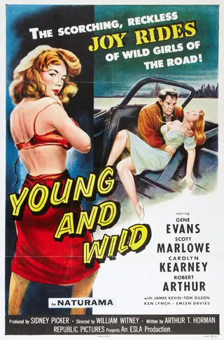 Young and Wild afişi