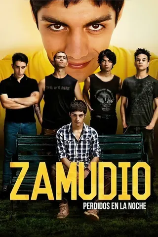 Görsel: TMDB Zamudix afişi