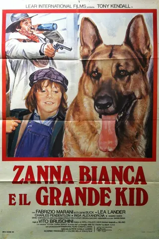 Zanna Bianca e il grande Kid afişi