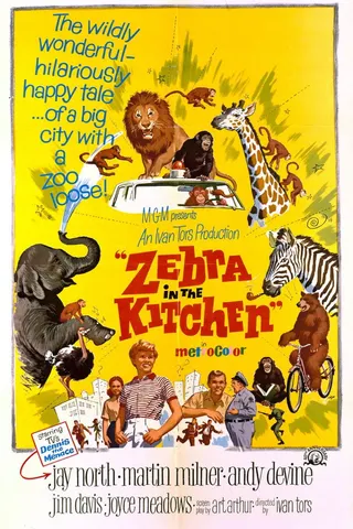 Zebra in the Kitchen afişi