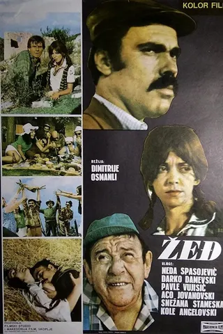 Žed afişi