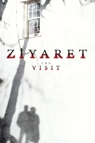 Görsel: TMDB Ziyaret afişi